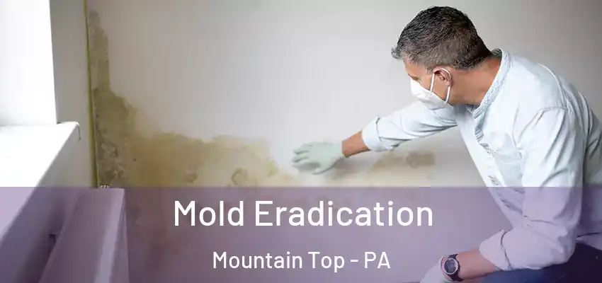 Mold Eradication Mountain Top - PA