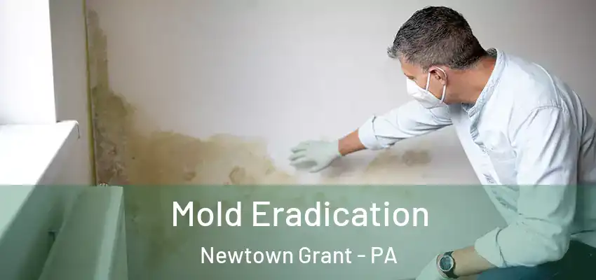 Mold Eradication Newtown Grant - PA