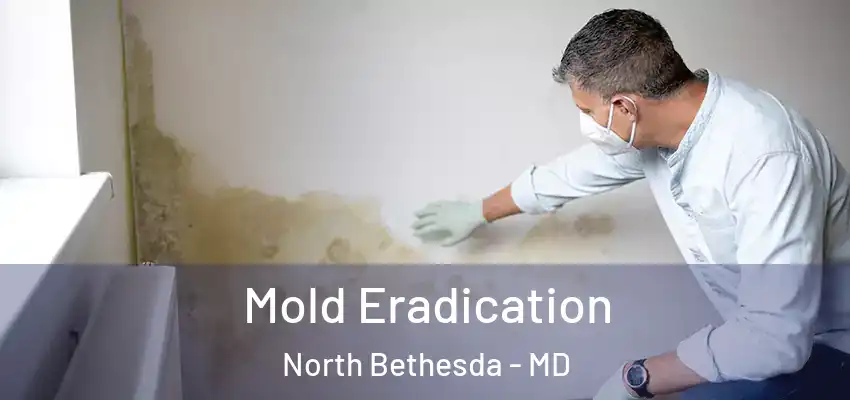 Mold Eradication North Bethesda - MD