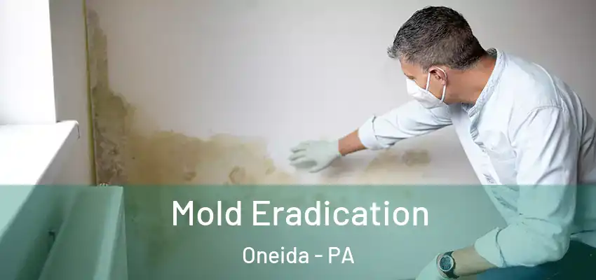 Mold Eradication Oneida - PA