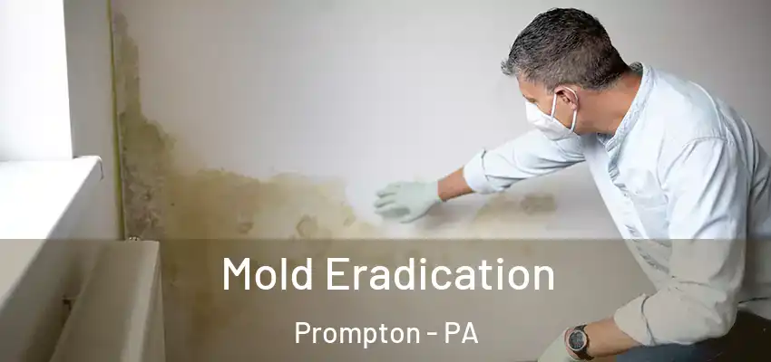 Mold Eradication Prompton - PA