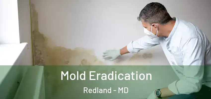 Mold Eradication Redland - MD