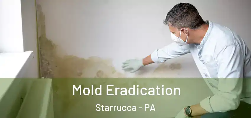  Mold Eradication Starrucca - PA