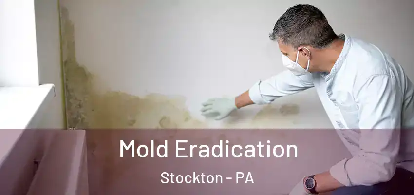  Mold Eradication Stockton - PA