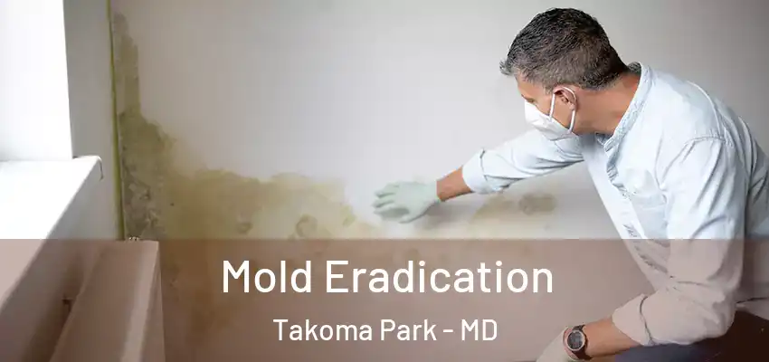 Mold Eradication Takoma Park - MD