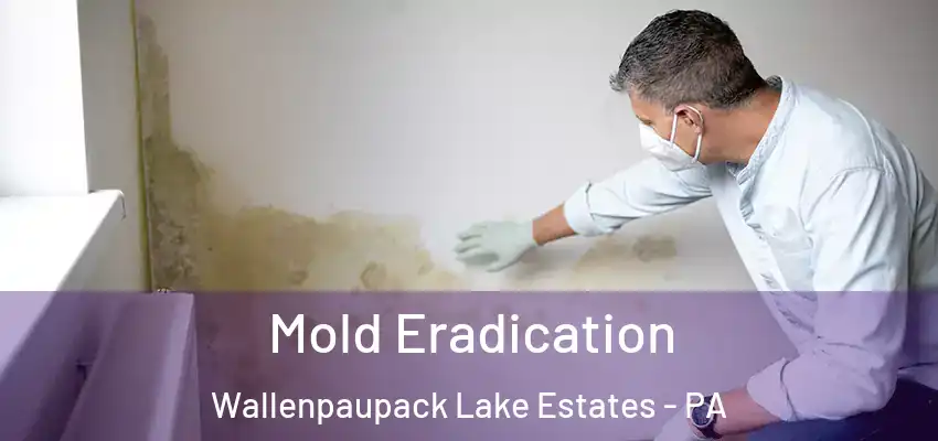 Mold Eradication Wallenpaupack Lake Estates - PA