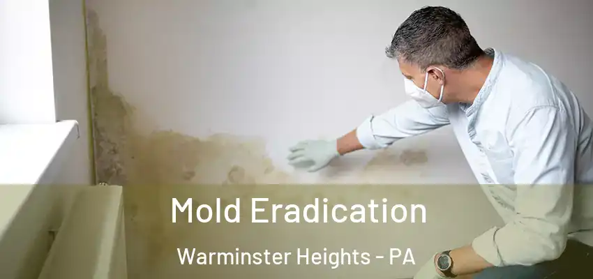 Mold Eradication Warminster Heights - PA