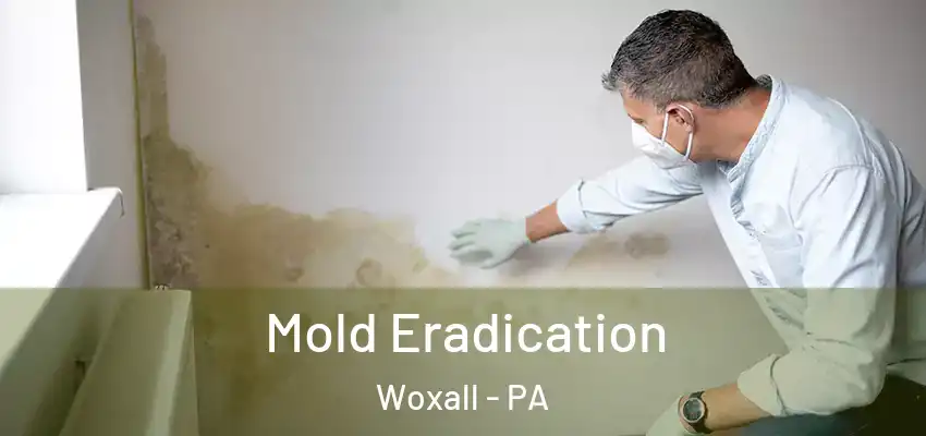 Mold Eradication Woxall - PA