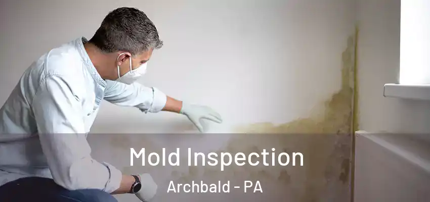  Mold Inspection Archbald - PA