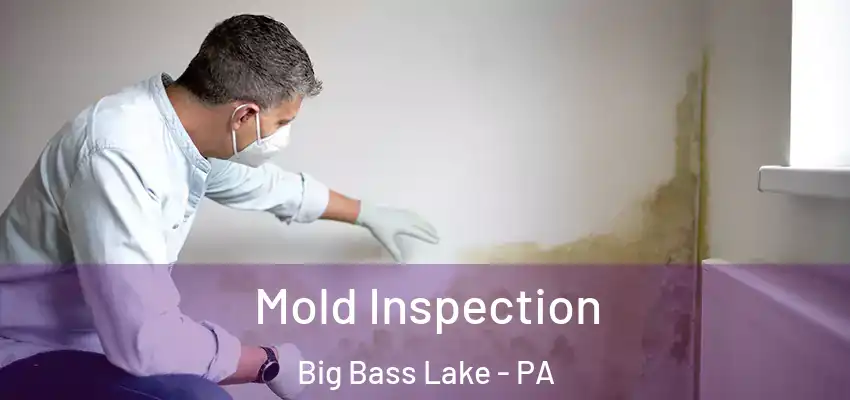 Mold Inspection Big Bass Lake - PA