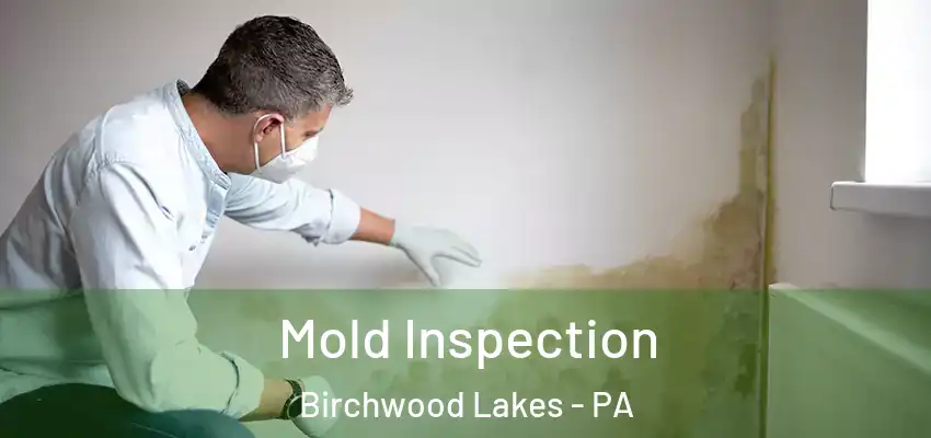 Mold Inspection Birchwood Lakes - PA