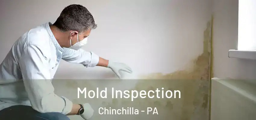 Mold Inspection Chinchilla - PA