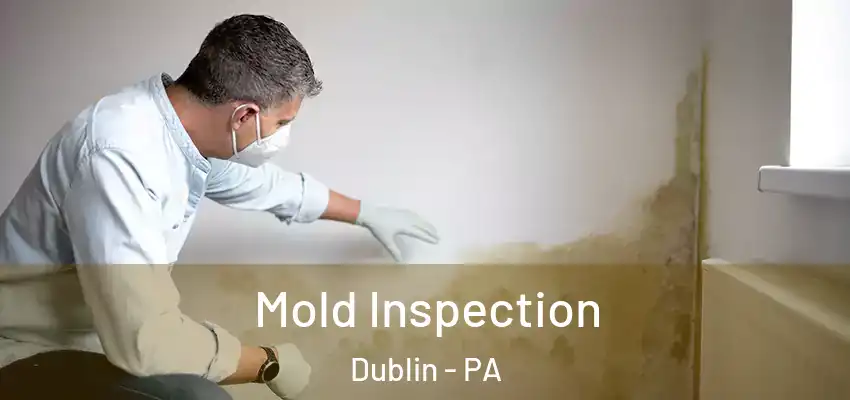  Mold Inspection Dublin - PA