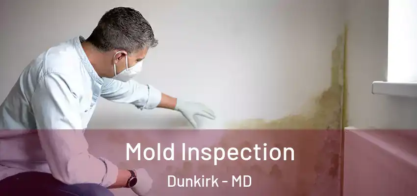 Mold Inspection Dunkirk - MD