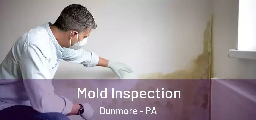 Mold Inspection Dunmore - PA