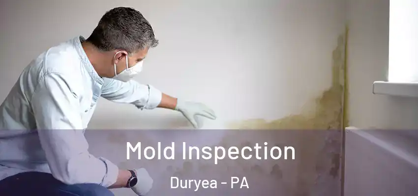  Mold Inspection Duryea - PA