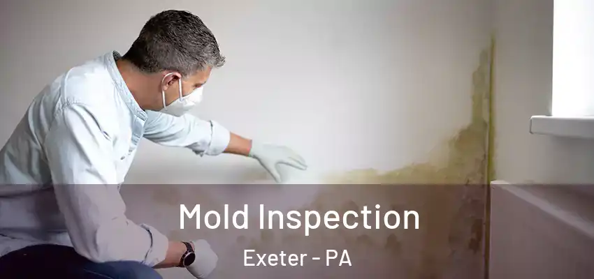 Mold Inspection Exeter - PA