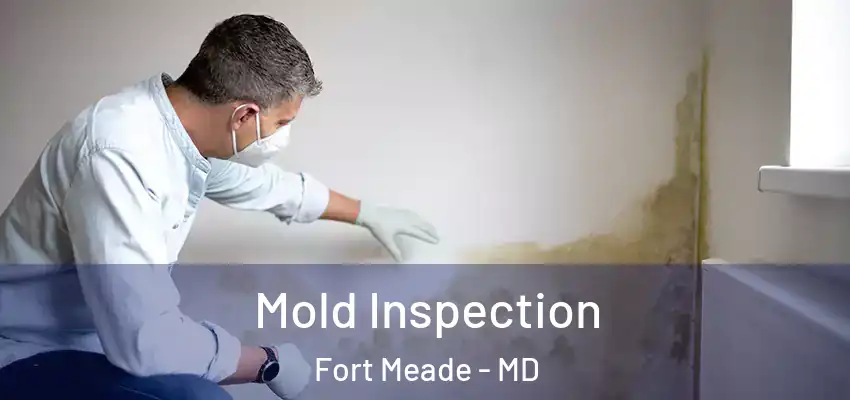Mold Inspection Fort Meade - MD