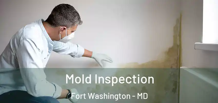 Mold Inspection Fort Washington - MD