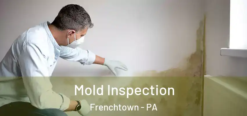 Mold Inspection Frenchtown - PA