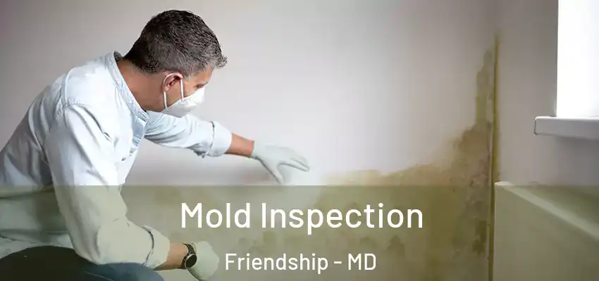 Mold Inspection Friendship - MD
