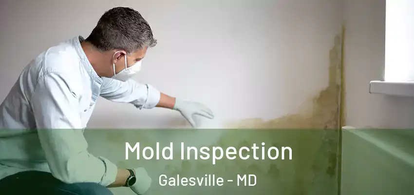 Mold Inspection Galesville - MD