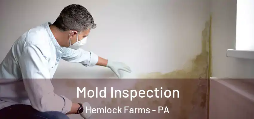 Mold Inspection Hemlock Farms - PA