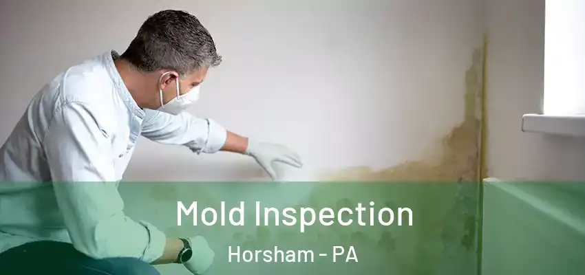 Mold Inspection Horsham - PA