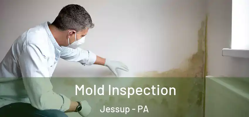 Mold Inspection Jessup - PA