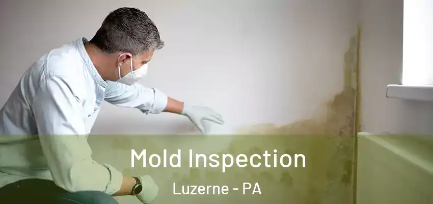 Mold Inspection Luzerne - PA