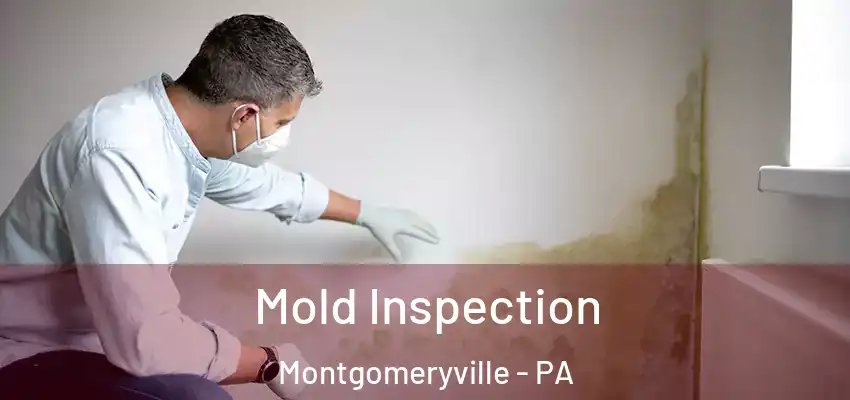 Mold Inspection Montgomeryville - PA
