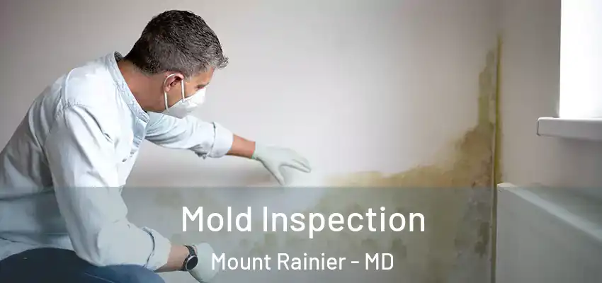 Mold Inspection Mount Rainier - MD