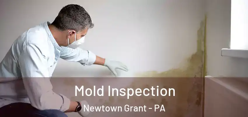 Mold Inspection Newtown Grant - PA