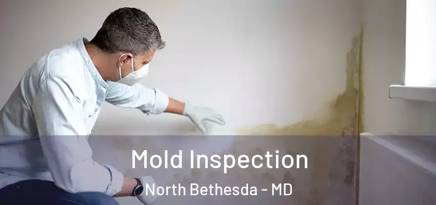 Mold Inspection North Bethesda - MD