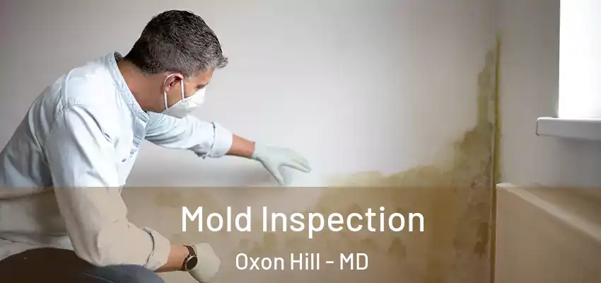 Mold Inspection Oxon Hill - MD