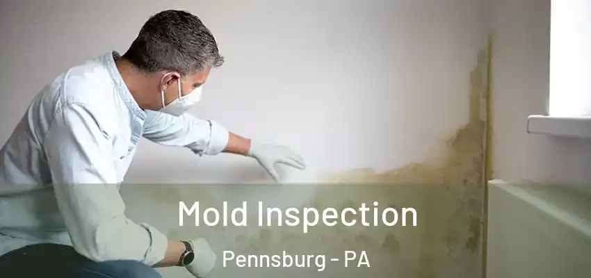 Mold Inspection Pennsburg - PA
