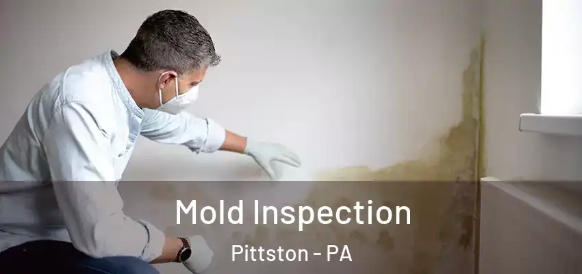 Mold Inspection Pittston - PA