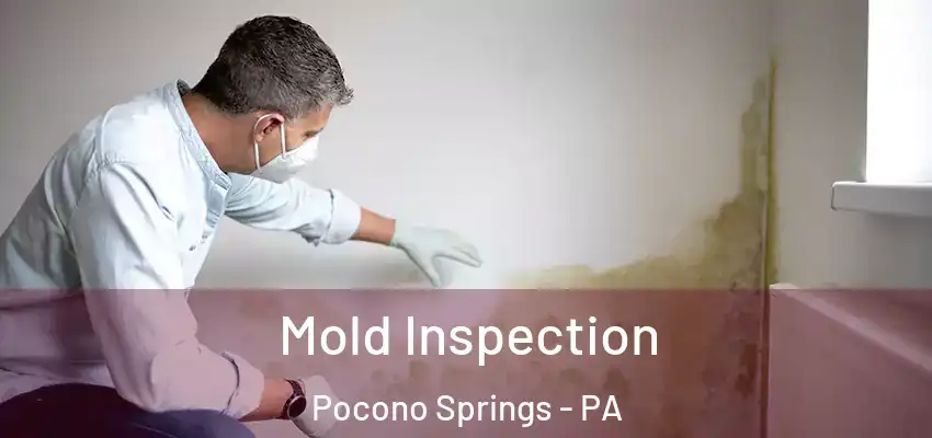 Mold Inspection Pocono Springs - PA