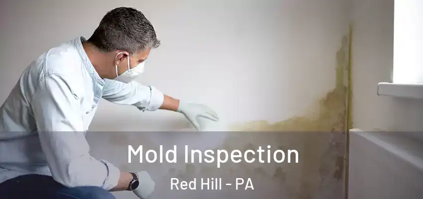 Mold Inspection Red Hill - PA