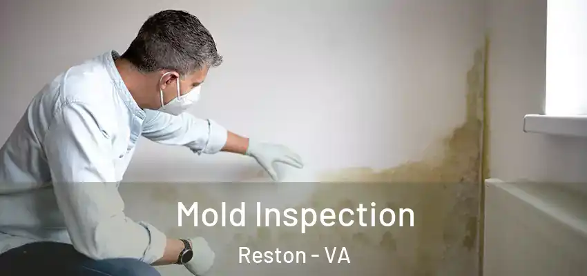 Mold Inspection Reston - VA