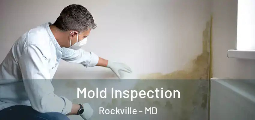 Mold Inspection Rockville - MD
