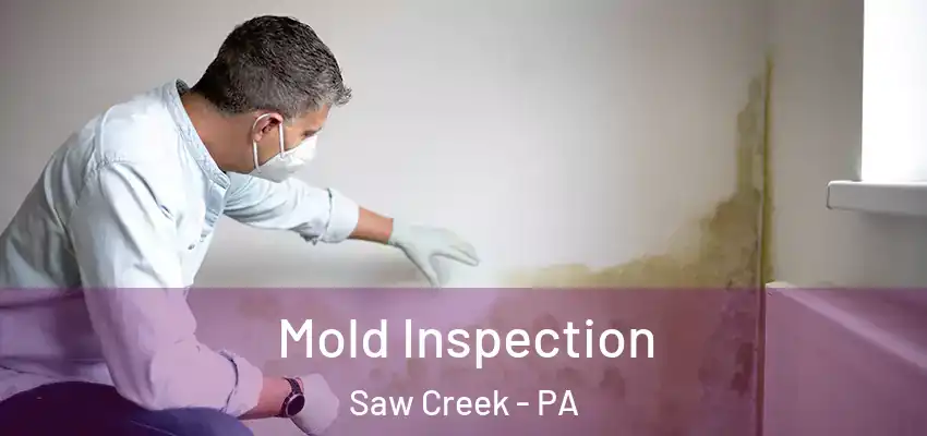 Mold Inspection Saw Creek - PA
