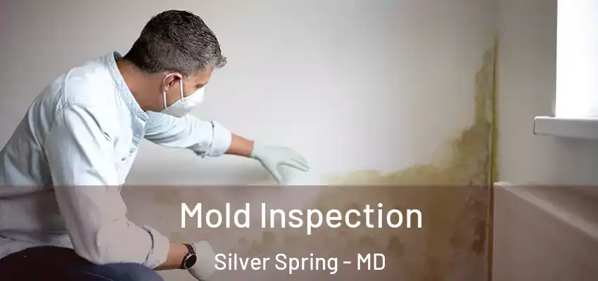 Mold Inspection Silver Spring - MD