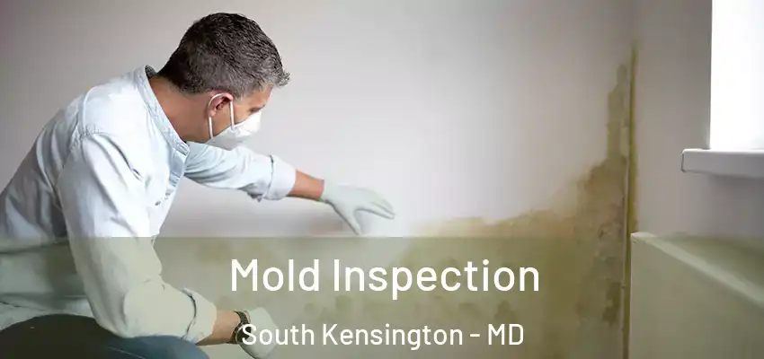 Mold Inspection South Kensington - MD