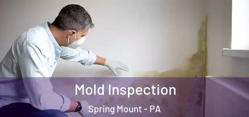 Mold Inspection Spring Mount - PA