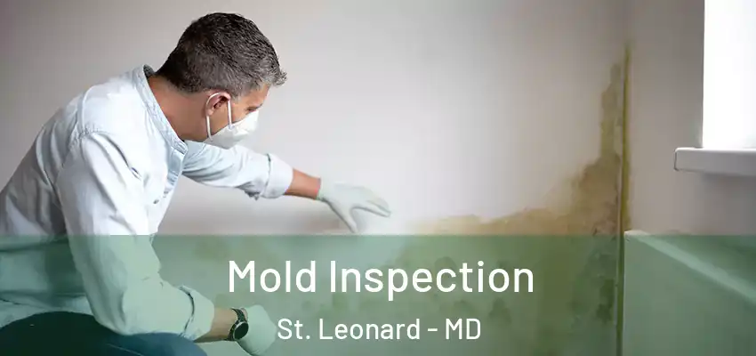 Mold Inspection St. Leonard - MD