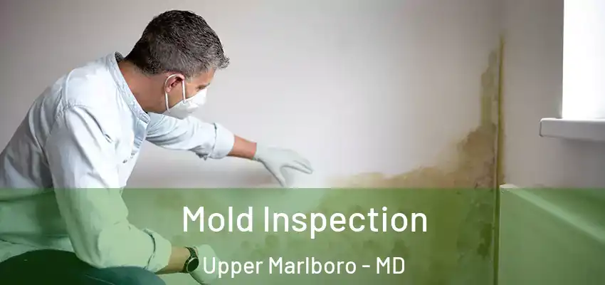  Mold Inspection Upper Marlboro - MD