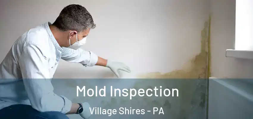 Mold Inspection Village Shires - PA
