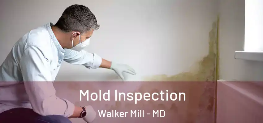 Mold Inspection Walker Mill - MD