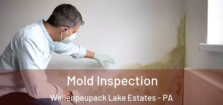 Mold Inspection Wallenpaupack Lake Estates - PA